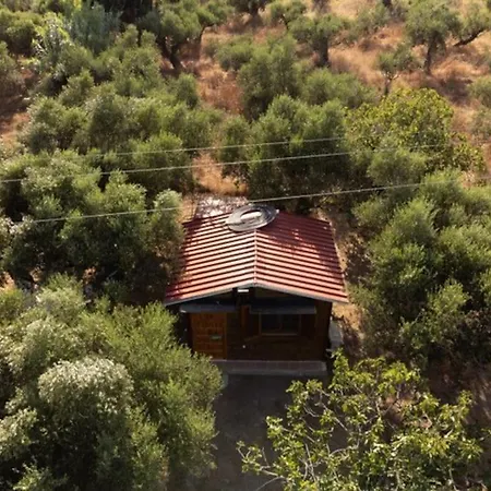 The Poet's House Longá