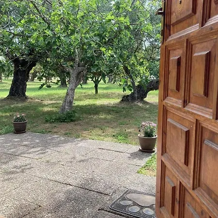 Σπίτι διακοπών The Poet's House