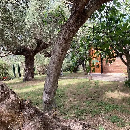 The Poet's House