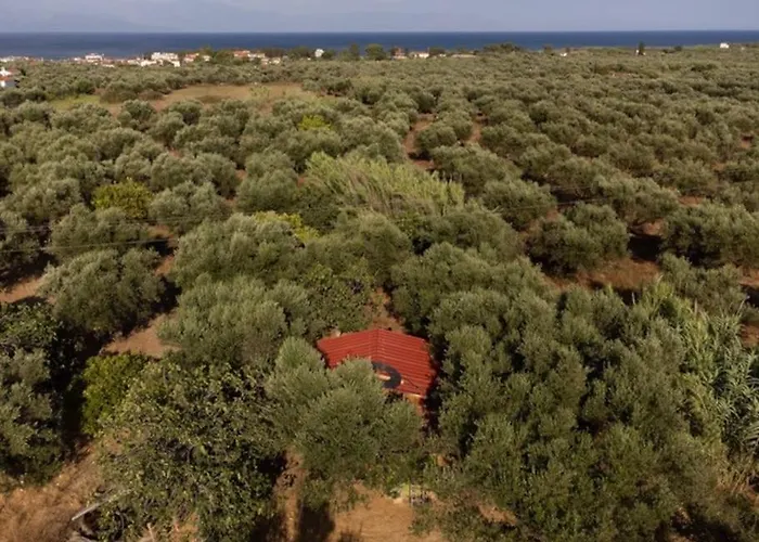 The Poet's House Σπίτι διακοπών Λογγά