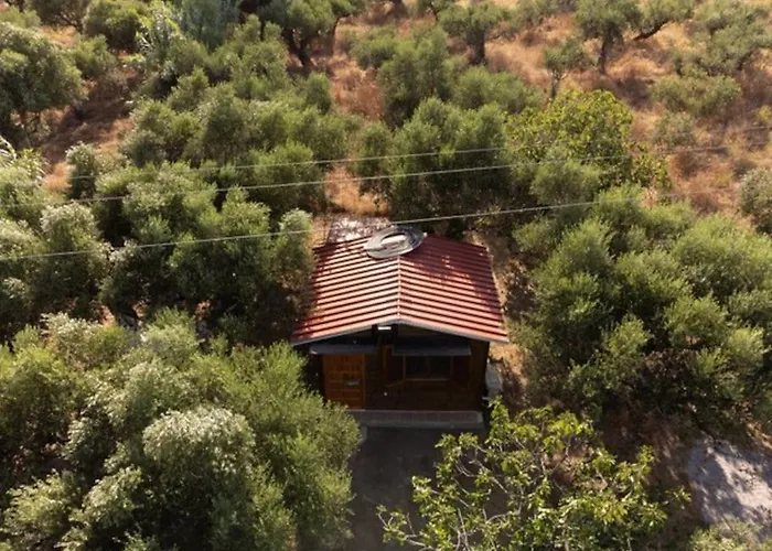 The Poet's House Λογγά