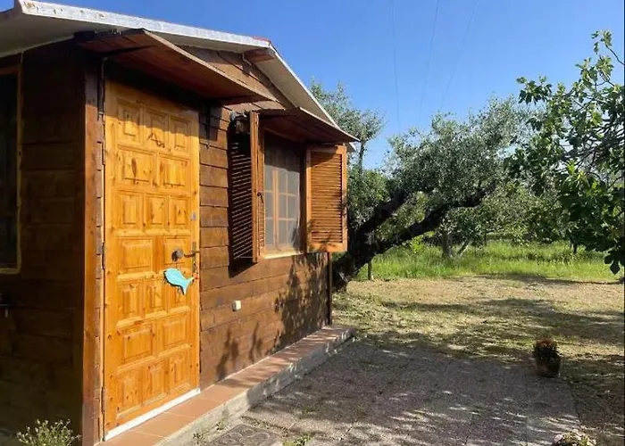 The Poet's House Dom wakacyjny *